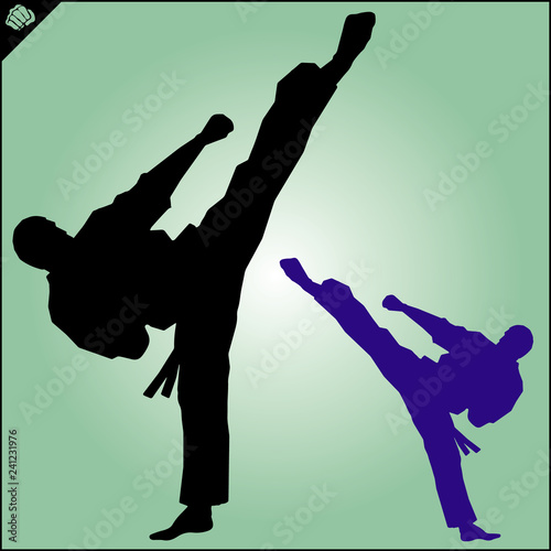 Martial art colored simbol design. Karate emblem.