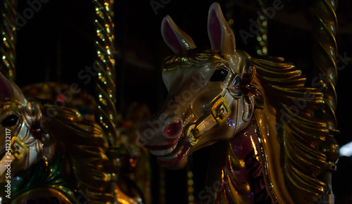 Carousel Horse © James