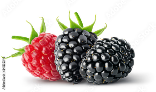 Obraz na płótnie Isolated berries Two blackberry and single raspberry fruits isolated on white ba