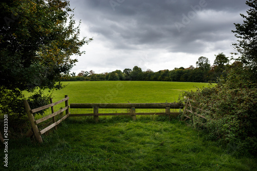 pastures and fence