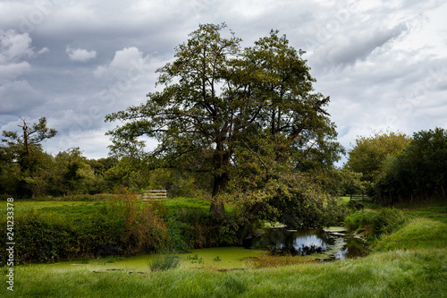 water meadows countryside landscape with creek and trees