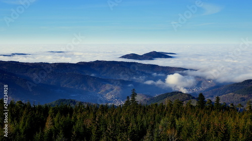 Herrliche Aussicht vom Hohlohturm im Nordschwarzwald mit W  ldern  T  lern und Bergen  die   ber den Wolken sind.