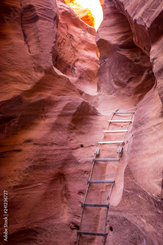 Red Canyon ready for adventure