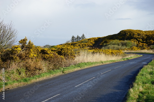Road and Monument 3