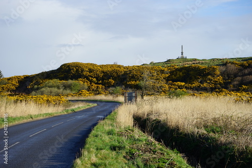 Road and Monument 4
