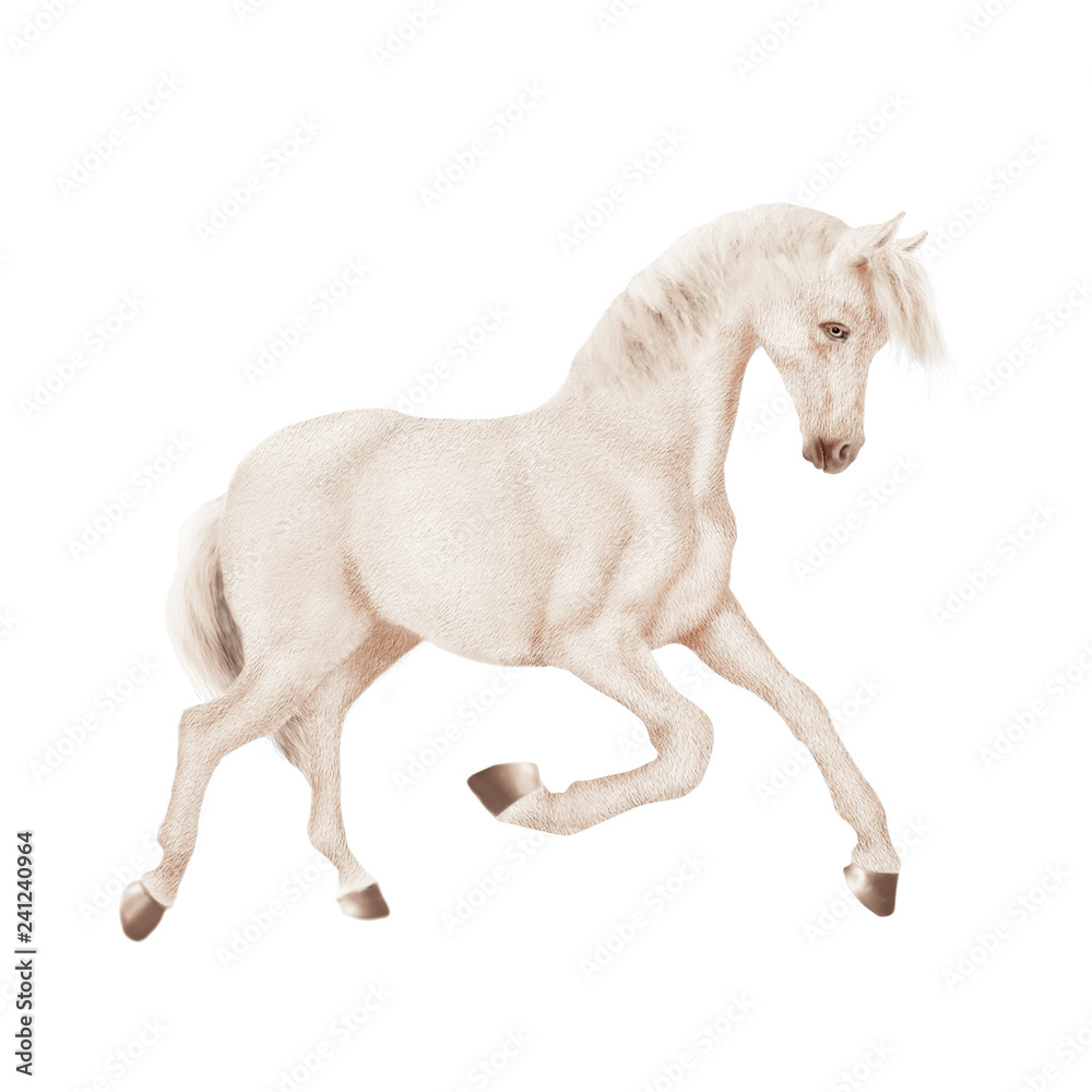 cheval, animal, noir, isolé, silhouette, étalon, coeur, galop, mammifère, course, crin, illustration, sauvage, des chevaux, courir, ferme, nature, jument, chevalin, andalou, équitation, mustang, blanc cheval, animal, noir, isolé, silhouette, étalon, coeur, galop, mammifère, course, crin, illustration, sauvage, des chevaux, courir, ferme, nature, jument, chevalin, andalou, équitation, mustang, blanc