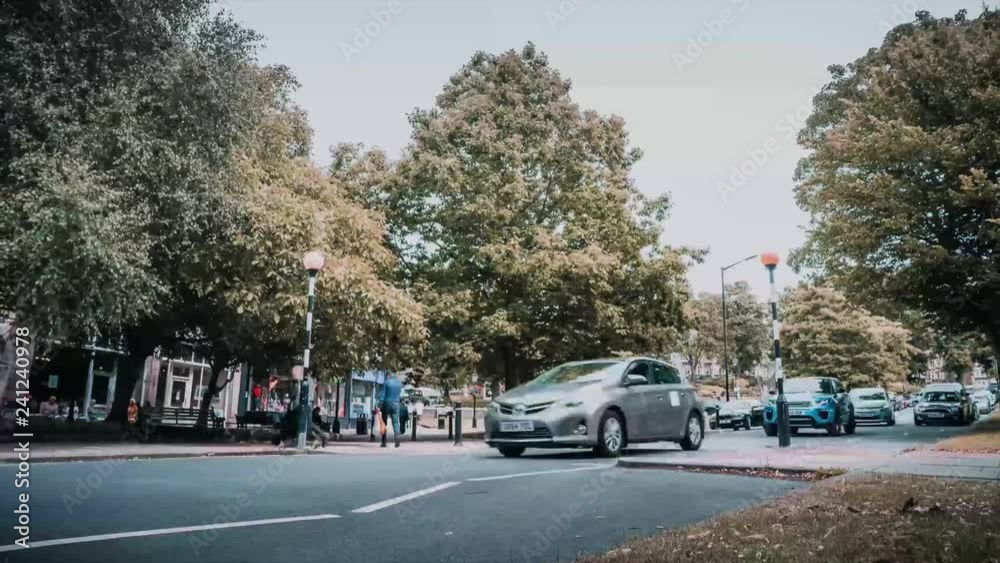 Time Lapse of a Zebra Crossing Time Lapse of a Zebra Crossing