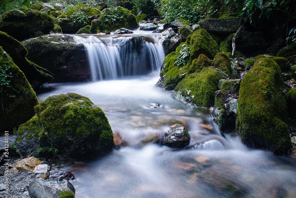 Mountain River with Cascades and Waterfall Flowing in the Himalayas. Forest Creek with Pure Transparent Water in Nepal Mountain River with Cascades and Waterfall Flowing in the Himalayas. Forest Creek with Pure Transparent Water in Nepal