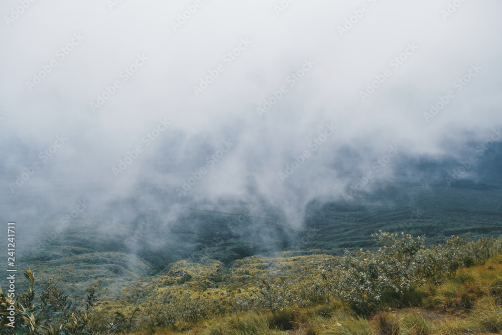 Foggy landscapes at Mount Longonot, Rift Valley, Kenya