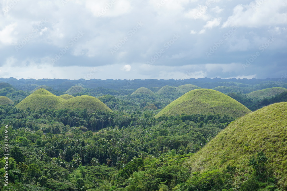 Chocolate Hills#1 Chocolate Hills#1