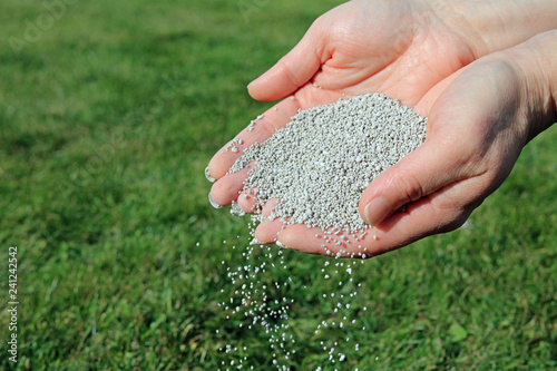 spreading lawn fertilizer by hand to maintain healthy grass