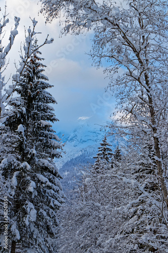 Hinterstoder Winterlandschaft