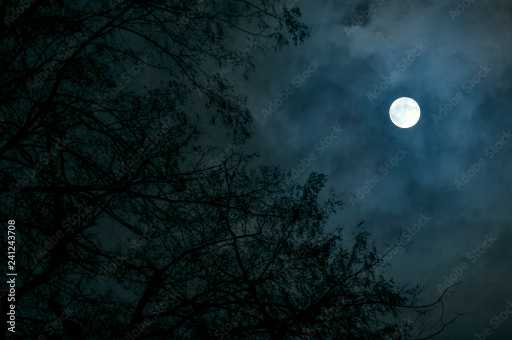 Fototapeta premium Full moon on cloudy skies. In foreground are out of focus leafless branches