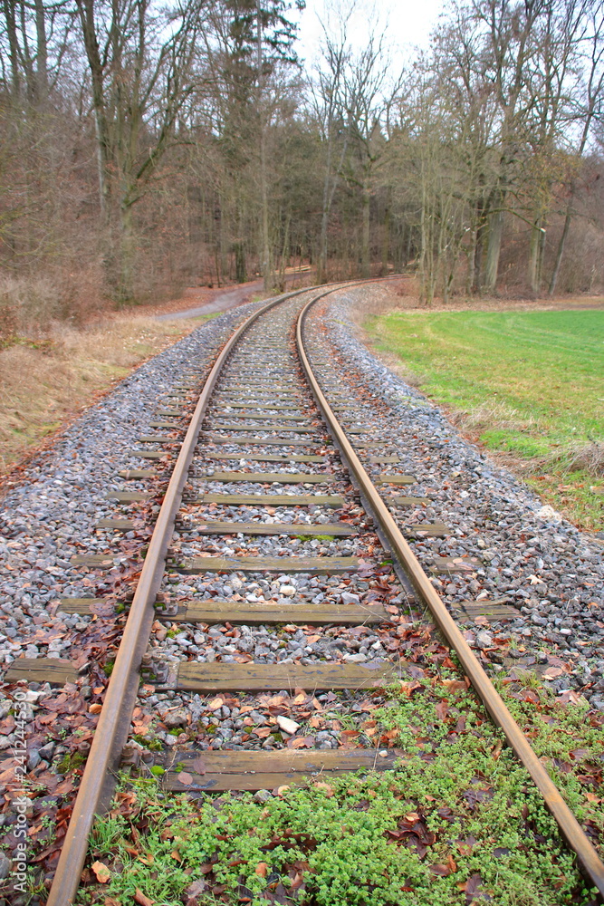 Fototapeta premium Bahngleise verlaufen in einer Kurve vom Betrachter weg. 