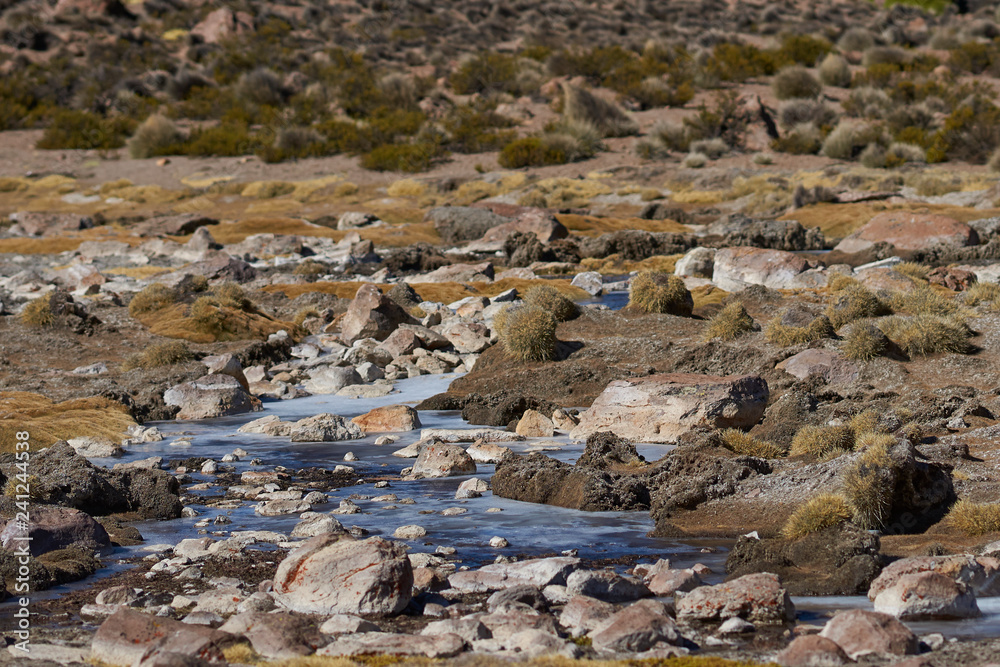Frozen pools in a wetland along a tributary of the River Lauca high on the Altiplano of northern Chile in Lauca National Park. Frozen pools in a wetland along a tributary of the River Lauca high on the Altiplano of northern Chile in Lauca National Park.