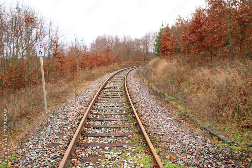 Bahngleise verlaufen in einer Kurve vom Betrachter weg. 