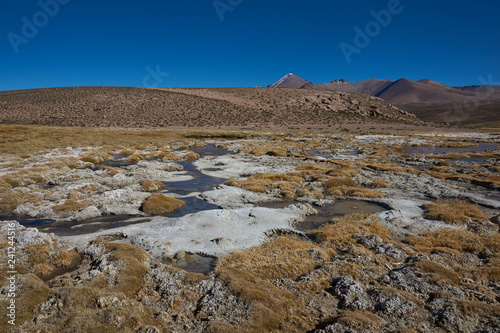 Frozen pools in a wetland along a tributary of the River Lauca high on the Altiplano of northern Chile in Lauca National Park. photo