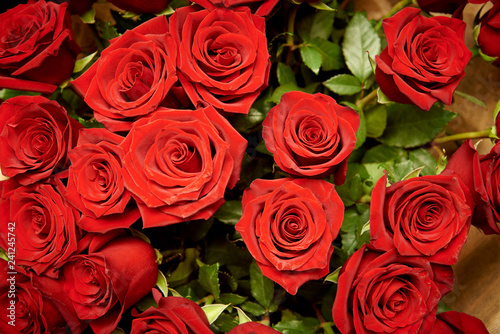 Bouquet of blossoming dark red roses.