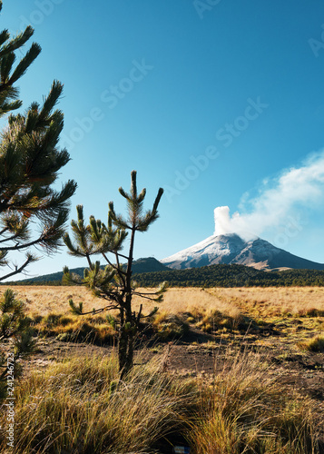Smoke comes out of Popocatepetl Volcano, Izta-Popo Zoquiapan National Park, Mexico photo