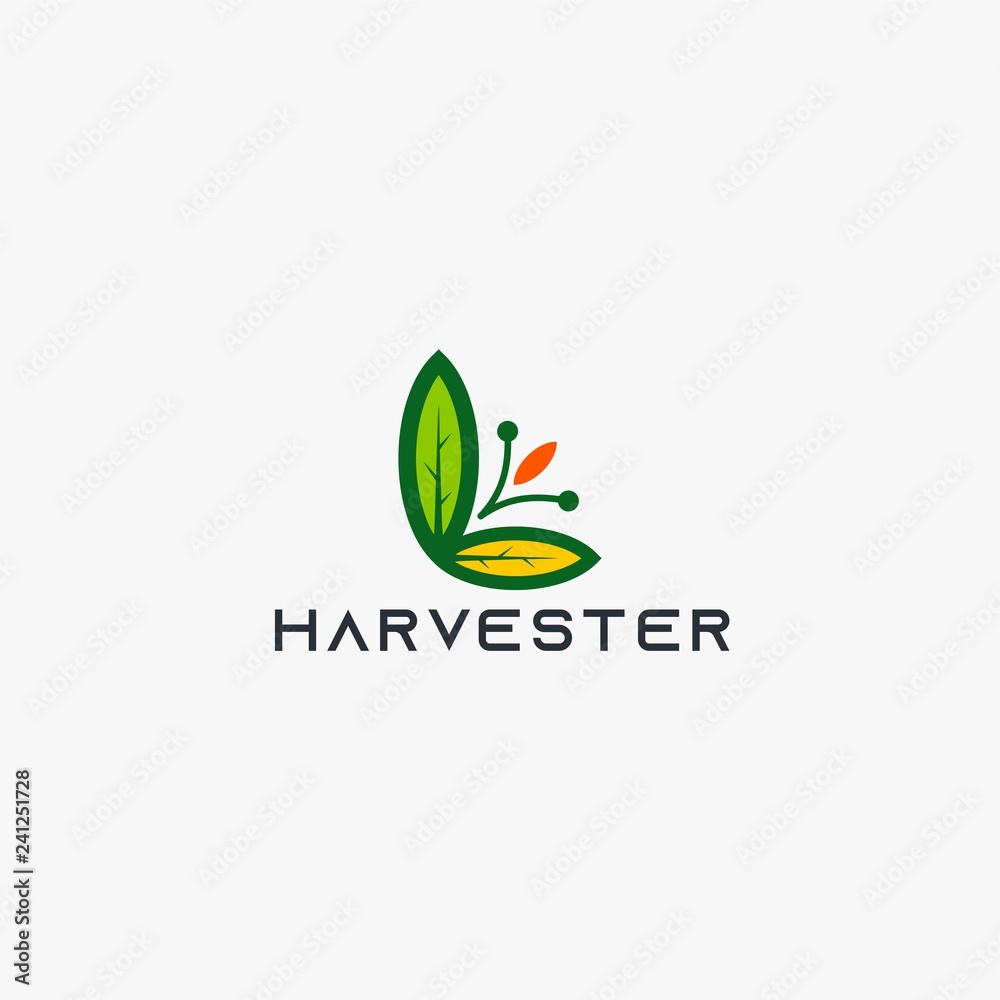 Fototapeta premium Harvest leaf logo design vector