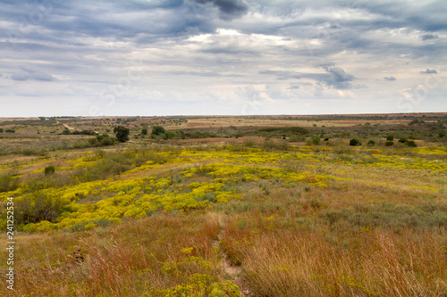 Panorami del Texas e del New Mexico (USA)