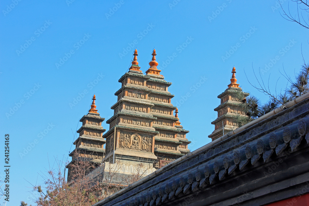 Sarira pagoda building landscape in the Five Pagoda Temple, China