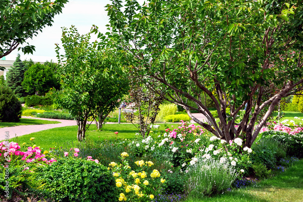 Garden with flowers of multicolored blossoms in the background trees and a walking path on a sunny day.