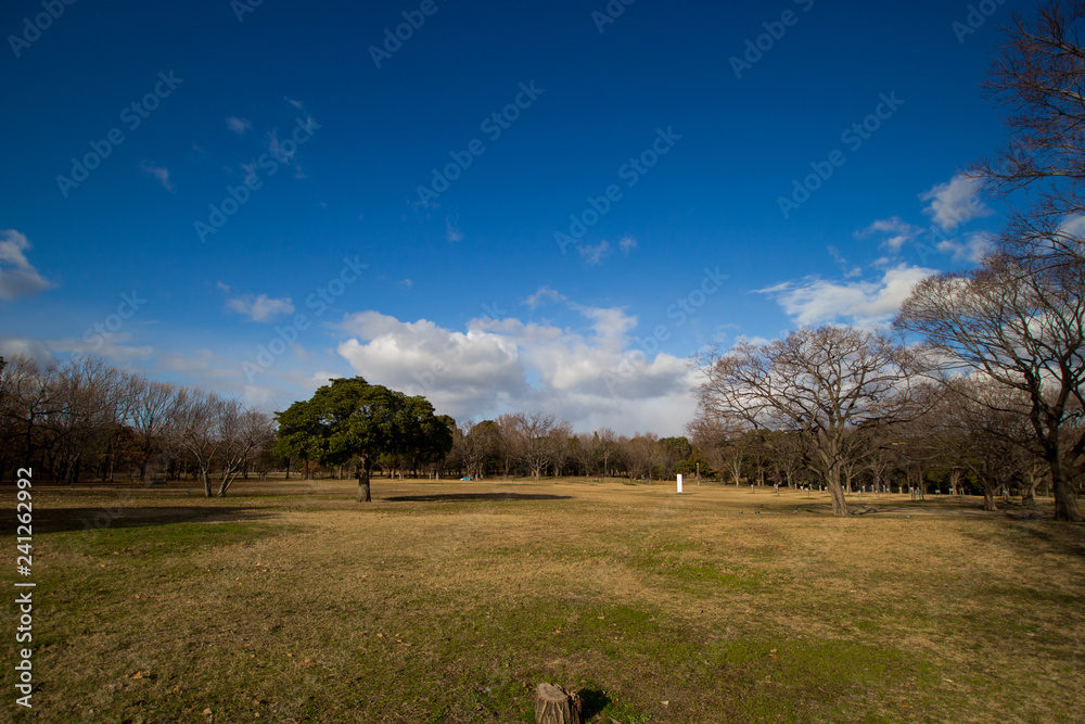 Obraz premium 公園