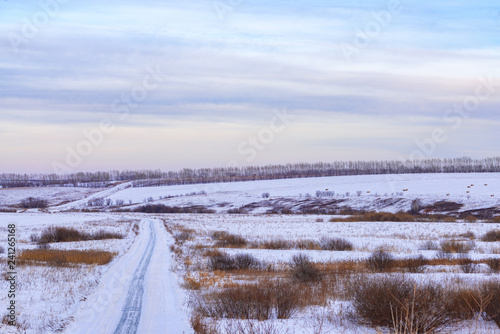 picturesque view of snow-covered forest on field at winter day 