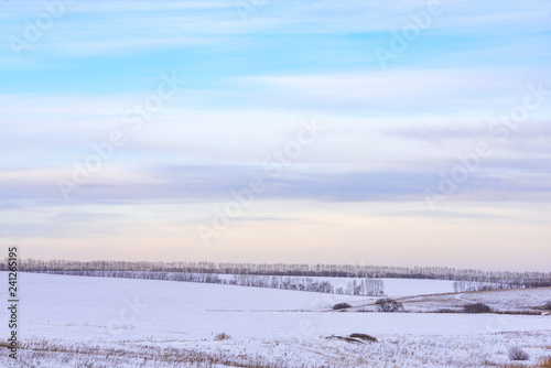 picturesque view of snow-covered forest on field at winter day  © photollurg