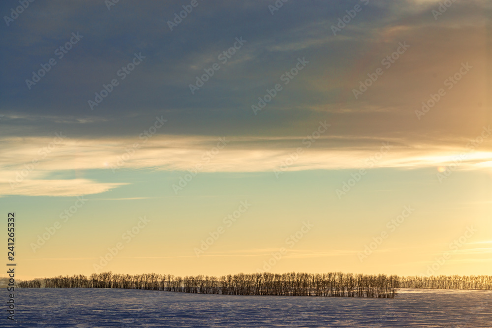 picturesque view of snow-covered forest on field at winter day 