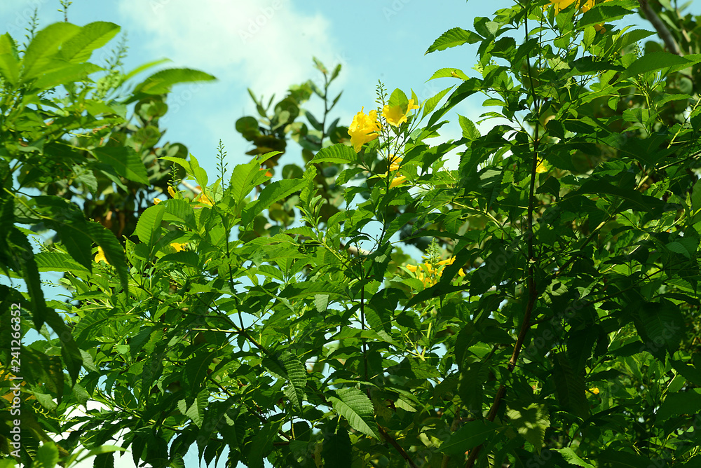 Steine, Park, Million Year Stones Park, Thailand
