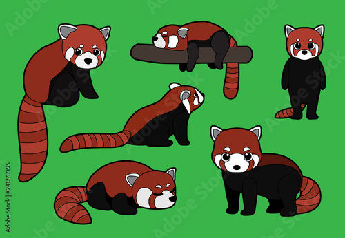 Fototapeta Naklejka Na Ścianę i Meble -  Red Panda Poses Stroke Cartoon Vector Illustration