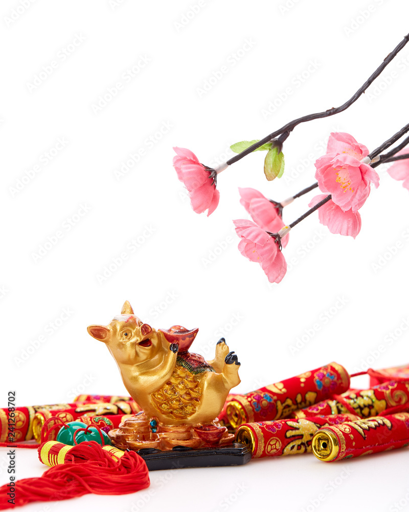 Decorate Pig 2019 Lunar New Year