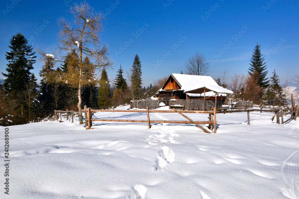Wooden hut covered with snow