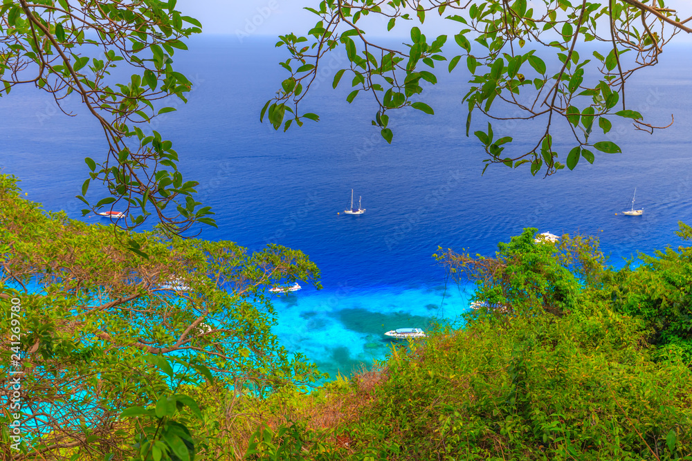 Similan Islands Beautiful tropical sandy beach and lush green foliage on a tropical island ,thailand Similan Islands Beautiful tropical sandy beach and lush green foliage on a tropical island ,thailand