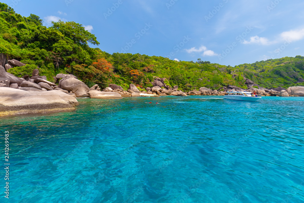 Similan Islands Beautiful tropical sandy beach and lush green foliage on a tropical island ,thailand