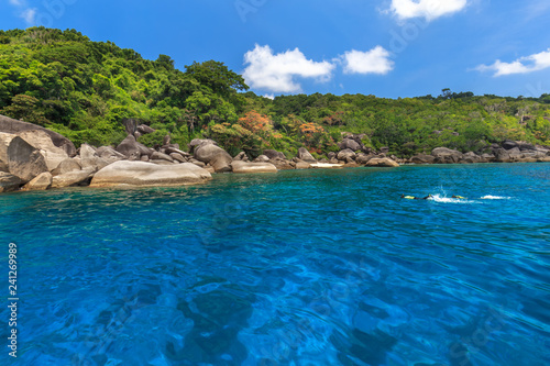 Similan Islands Beautiful tropical sandy beach and lush green foliage on a tropical island ,thailand