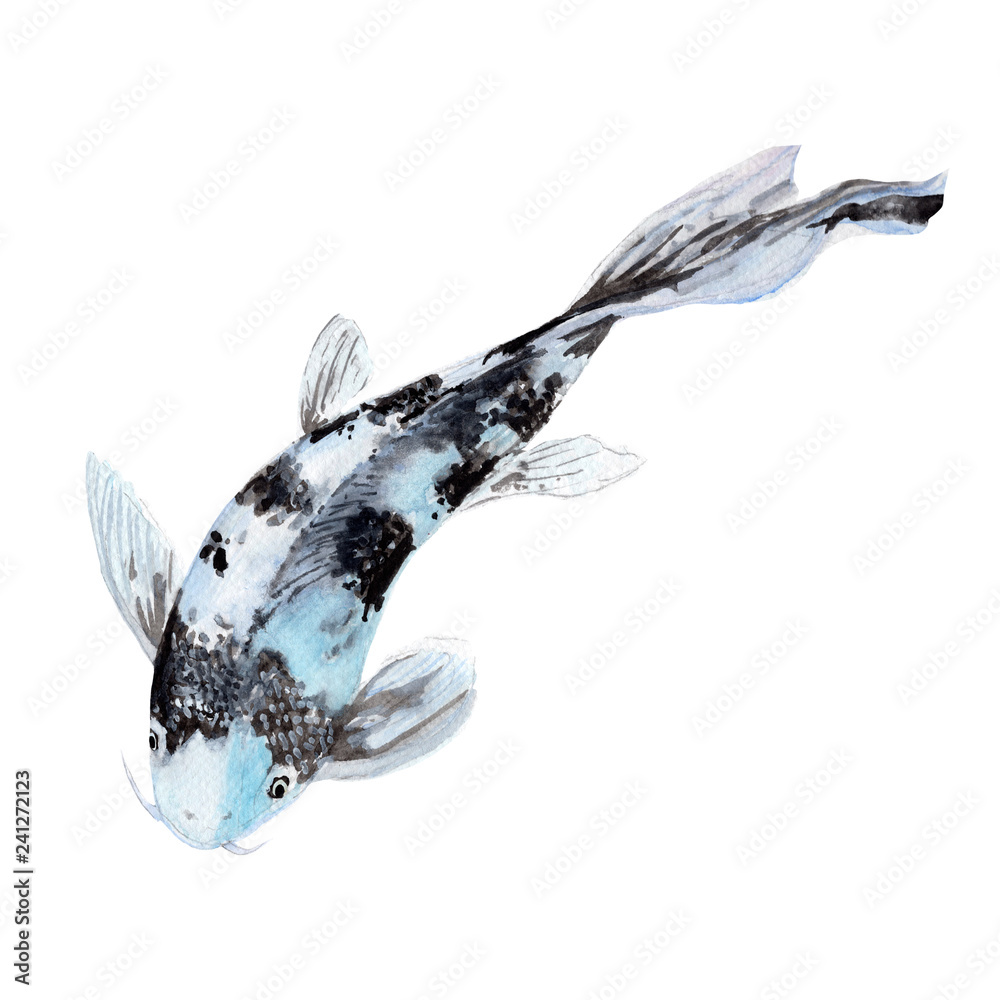 watercolor koi fish black and white
