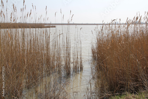Neusiedler see