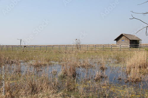 Neusiedler see