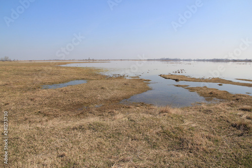 Neusiedler see