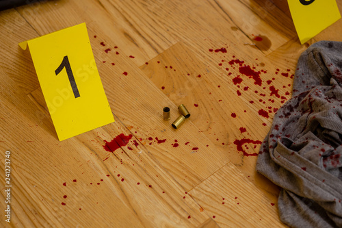 Bullets, bloody clothes and gun at crime scene