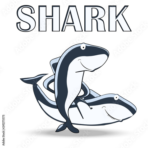 two funny shark on a white background vector