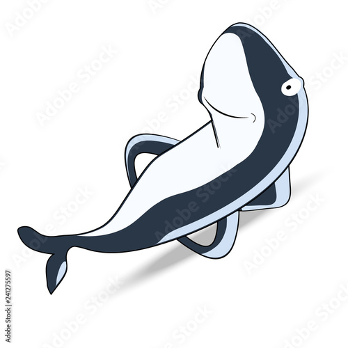 funny shark on a white background vector