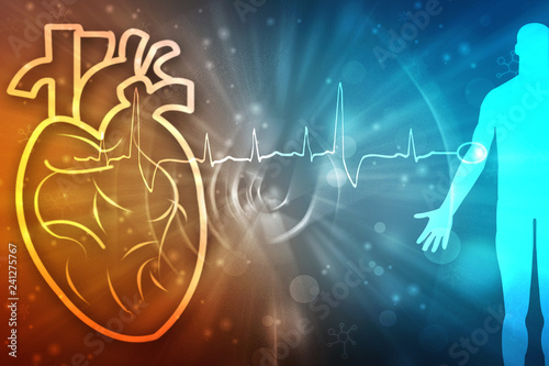 2d illustration Anatomy of Human Heart 