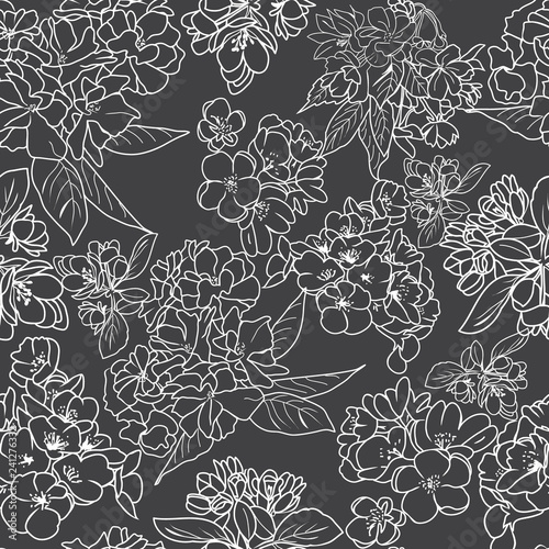 Сherry blossom outline botanical background.