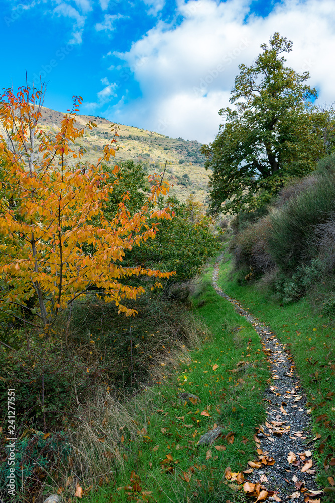 Paisajes de granada,naturaleza. Paisajes de granada,naturaleza.