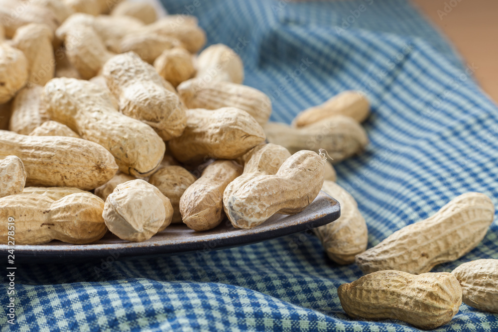 Peanuts in the peel on a beautiful red dish Peanuts in the peel on a beautiful red dish