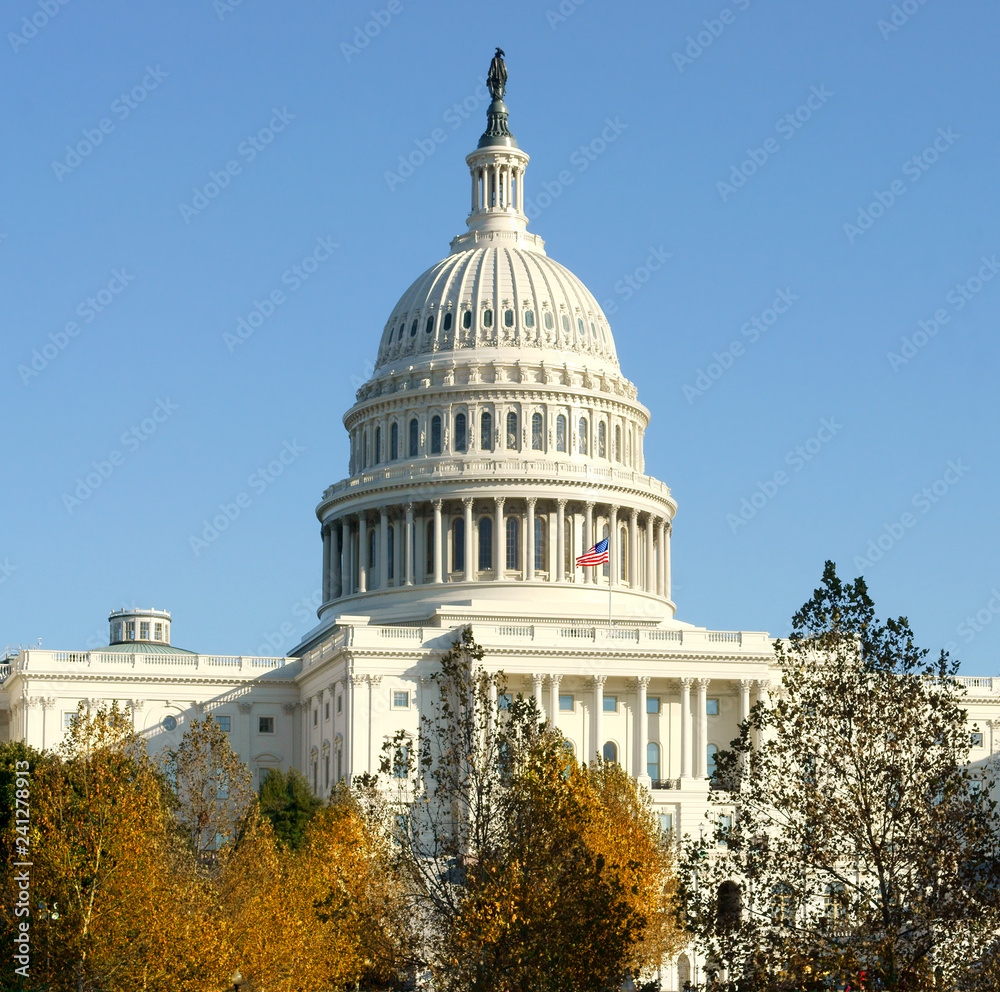 Obraz premium United States Capitol, home of United States Congress and seat of legislative branch of U.S. federal government, on Capitol Hill in Washington, D.C.